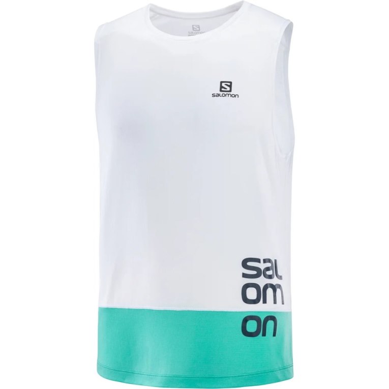 Camisetas Regata Salomon Cross Run Gráficas Masculino Branco Turquesa | PT C67839